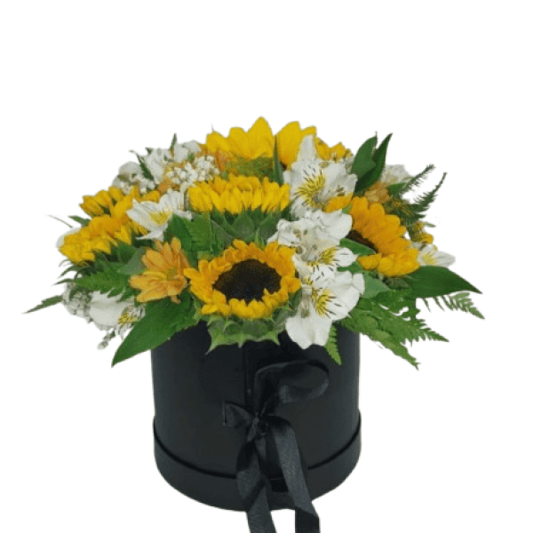 Caja 12 Girasoles — Florería Frida Flores Rancagua