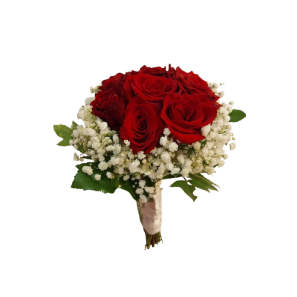 Diseño sin título (17)