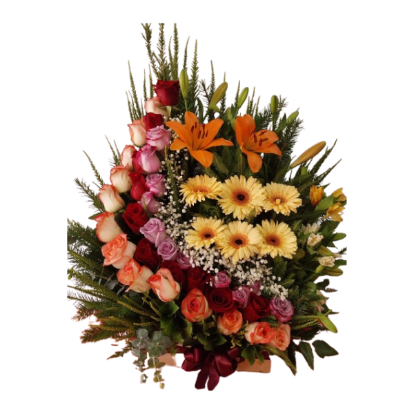 Diseño sin título - 2024-09-06T185058.481