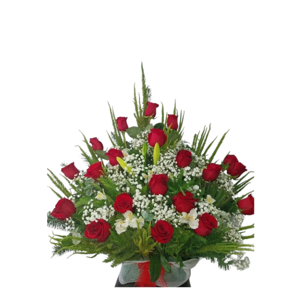 Diseño sin título - 2024-09-06T185413.910